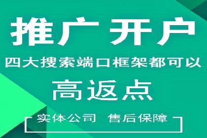SEM推广案例：提升网站转化率策略解析
